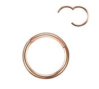 LunaLoop Nose Rings Hoop,316L Surgical Steel Hypoallergenic Septum Rings,20g 18g 16g 14g Gauge Helix Rook Piercing Jewelry Cartilage Hoop Earring for Women, 2pcs,14g,Diameter: 12mm, Stainless Steel