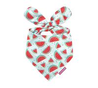 LunaMarie - Luxury Pet Birthday Bandanas -Premium & Silky Poly Fabric | 100% Handmade | Custom Shape Dual Layered (Watermelon, X-Small)
