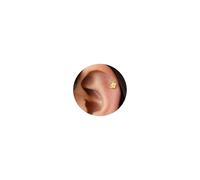LunarCharm 1 Pair 18G Gold Small Flower Earrings Stainless Steel with 14 Karat Gold Plating, Gold Delicate Climber Studs, Small Nose Stud, Cartilage, Tragus, Helix, Conch Piercing Jewellery