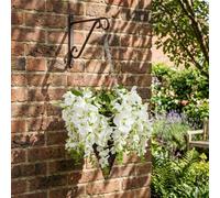 Lunaria Blanc Cascading Wisteria Hanging Basket