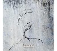 Lunatic Soul : Impressions CD (2019) NEW FREE Shipping, Save £s