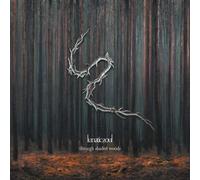 Lunatic Soul - Through Shaded Woods