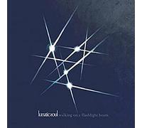 Lunatic Soul - Walking On A Flashlight Beam [VINYL]