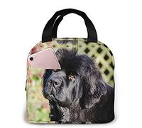 Lunch Bag Black Newfoundland Dog Lunch Box Insulated Bag Tote Bag for Men/Women Work Travel
