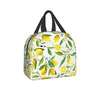 Lunch Bag Insulated Lunch Box Watercolor Lemons Reusable Lunch Tote Box Bag for Travel/Picnic/Work/Hiking/School/Office