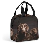 Lunch Bag Lunch Box for Women Reusable Lunch Tote Bags Brown Labrador Retriever Portable Insulated Cooler Bag