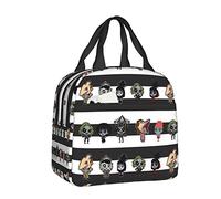 Lunch Bag Portable Insulated Lunch Tote Bag Lunch Box Bag Picnic Bag for Women Mens Boy Girl Work Office