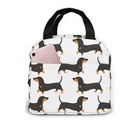 Lunch Bags For Men Women Dachshund Action Seamless Pattern Insulated Durable Lunch Box Tote Bag Cooler Bag For Work School Picnic Travel Beach