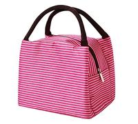Lunch Bags for Women Men, Reusable Insulated Leakproof Lunch Bag for Work, Picnic Bag Waterproof Lunchbag Foldable Bags for Women, Men, Kids and Students Travel Picnic School