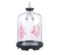 Lung Breathing Model, Human Diaphragm Movement Simulator, Lung Function Demonstration Model, Biology Teaching Aids for Medical Students, Science Classroom Study