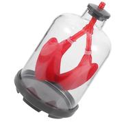 Lung Breathing Model Human Lung Assemble Model Preschool Teaching Aid Model Lung Demonstration Aid Lung Model Assemble Work Teaching Plastic Rubber Sports