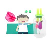 Lung Model with Balloons - Kids Breathing Model | Educational Inhalation & Exhalation Science Kit | Child-Safe Teaching Tool | Biology Learning Toy for Children | Hands-On Anatomy STEM Gift