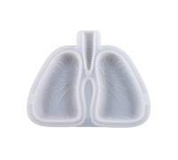 Lung Modeling Ashtray Organizer Silicone Mold Handmade for Home Item Storage Decorative Resin Storage Box