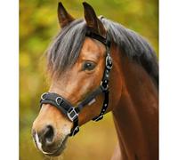 Lunge line halter Waldhausen Economic