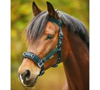 Lunge line halter Waldhausen Economic
