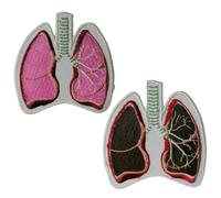 Lungs Human Body Organs Set Art Clothing Badge Iron on Sew on Embroidered Patch appliqué