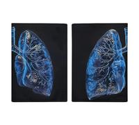 Lungs Under The Light Printed Passport Cover Case Passport Holder For Travel Passport Cards Protector Travel Covers Wallet Case RFID Blocking Leather Card Case for Women Men, Lungs Under The Light,
