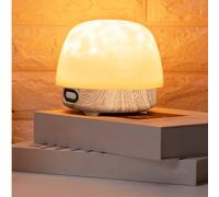 Lunie Lamp, Light & Bluetooth Noise Machine, Ocean Wave Projector Light, Remote Control Ocean Wave, with Speaker, Charging, 16 Color Dimming, Touch Style (Wood Color,no White Noise)