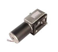 LUNMENGCC 5882-50ZY Double Shaft Worm Gear Motor Brushed 12V24V Forward and Reverse Adjustable Speed 1.5RPM~295RPM for Stir-Fry Machine