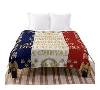LUNMENGCC Napoleonic French Flag of The Chasseurs A Cheval De La Garde Throw Blanket Soft Big Polar Blankets for Bed Blankets