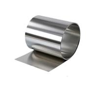 LuoAXINN 1M Stainless Steel Foil Strip Steel Foil Roll Narrow Strip Thk0.1/0.15/0.2/0.25/0.3/0.35/0.4/0.5/0.6/0.8/1mm W/10-100mm for Handicrafts(Thickness 0.6mm,Width 100mm x L1000m)