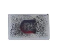 Luobannm Experimental Instrument Demonstration Magnetic Induction Lines in Electromagnetic Fields with Physical Plane Design