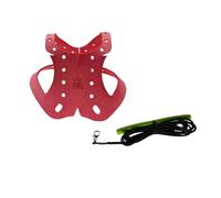 Luobannm Parrot Pigeon Harness and Leash Flying Anti-Bite Traction Rope Straps Bird Training Outdoor Carrying Adjustable Bird B