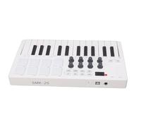 Luocute 25 Key MIDI Keyboard Controller, Professional BT Wireless Music Production with 8 RGB Backlit Drum Pads 8 Knobs Force Sensing Keys for Computer Recording Studio