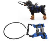 Luocute Blind Dog Harness Guiding Device, Adjustable Anti Collision Ring with Sturdy Aluminum Strip and Foam Material for Blind Pets Safety and Confidence Building (M)