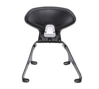 Luocute Motorcycles Rear Backrest, Sissy Bar for ADV160 2022-2025 with Waterproofing Material and Lumbar Support, Passenger Back Rest Replacement, Powersports Sissy Bars