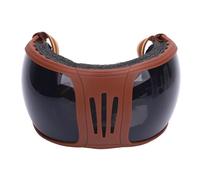 Luocute Professional Grade UV400 Lenses Windproof Horse Goggles with Multi Layers Sponge, Designed to Guard Your Horse From Wind, Sand, and Dust, Adjustable Straps for Riding (Grey)