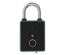 Luocute Smart Fingerprint Password Padlock, Keyless Entry Electronic Lock with Battery, Case, App Control, 100 Fingerprints, 30 Passwords, IP65 for Outdoor Gate, Fence, Locker (#1)
