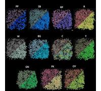 LUOFENG Glass Beads for Bracelets Making,660Pcs Beads Glow in The Dark Plastic UV Color Changing Beads for Hair Braids DIY Crafts Bracelets Necklaces Jewelry Making