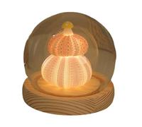 Luojuny Desktop Ornament Glowing Decoration Led Night Light Unique Shape Soft Lighting Battery-Powered DIY Sea Urchin Shell Lamp for Sets C