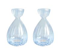 luolety 2PCS Avocado Seed Starter Vase, Avocado Tree Flower Vases Pot for Growing Planter, Avocado Tree Growing Kit Glass Hydroponic Vases Seed Plant Vase for Gardening Lover (Blue)