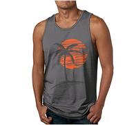 luoluoluo Clearance Mens Summer Tank Tops Sleeveless T Shirts Hawaiian Printed Tank Tops Round Neck Muscle Shirt Beach Holiday Vest Male Casual Loose Top Running Tops Lightweight Quick Drying Blouse