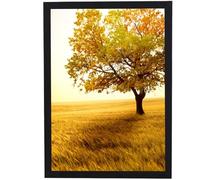Luoqun88 Picture Frame A4,Versatile A4 Picture Frame 21 x 29.7cm,A4 Frame,A4 Picture Frame,A4 Poster Frame,A4 certificate frame,Freestanding and Wall Mountable-Black