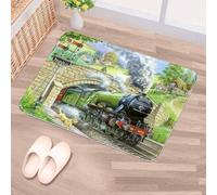 Luoweisi Non-Slip Door Mat Steam Trains, Soft Machine Washable Doormats, Dirt Trapper Mat Entrance Rug, Super Absorbent Floor Mats for Front Back Door, Entryway, Pets and Dogs - 60x40 cm