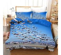 Luowenji Airplane Duvet Cover Double Bedding Sets Blue Plane Quilt Cove with Zipper Closure and 2 Pillowcases 50x75 cm, 3D Printed Soft Microfibre Bed Set L6507