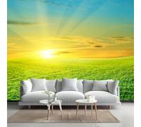 LUPAXA Sunrise and Meadow Wallpaper Mural 200x150cm Sunny Scenery Wallpaper 3D Silk Mural Office Bedroom Living Room Apartment Not Self-Adhesive