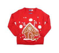 Lupilu Kids Gingerbread Christmas Jumper Assorted Sizes
