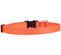 Lupine Adjustable Dog Collar for Medium/ Large Dogs 3/4-inch/ 13 - 22-inch Blaze Orange