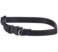 Lupine Adjustable Dog Collar for Small Dogs 1/2-inch/ 10 - 16-inch Black