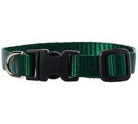 Lupine Adjustable Dog Collar for Small Dogs 1/2-inch/ 6 - 9-inch Green