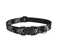 Lupine Bling Bonz Patterned Adjustable Dog Collar for Medium/ Large Dogs 1-inch/ 12 - 20-inchBling Bonz Patterned