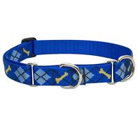 Lupine Dapper Dog Patterned Combo Collar for Large Dogs, 1-inch/ 15 - 22-inch
