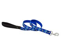 Lupine Dapper Dog Patterned Padded Handle Dog Lead, 1-inch/ 6 ft