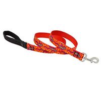 Lupine Go Go Gecko Patterned Padded Handle Dog Lead, 1-inch/ 6 ft