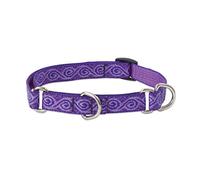 Lupine Jelly Roll Patterned Combo Collar for Medium/ Large Dogs, 3/4-inch/ 14 - 20-inch