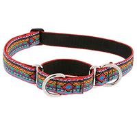 Lupine Originals El Paso Martingale Dog/Puppy Collar - Guaranteed for Life! 1" 15-22"